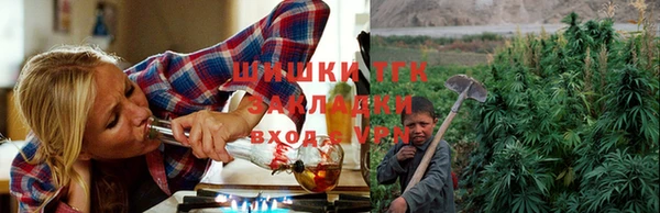 эйфоретик Баксан