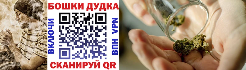 Купить где  Великие Луки  Конопля VHQ 